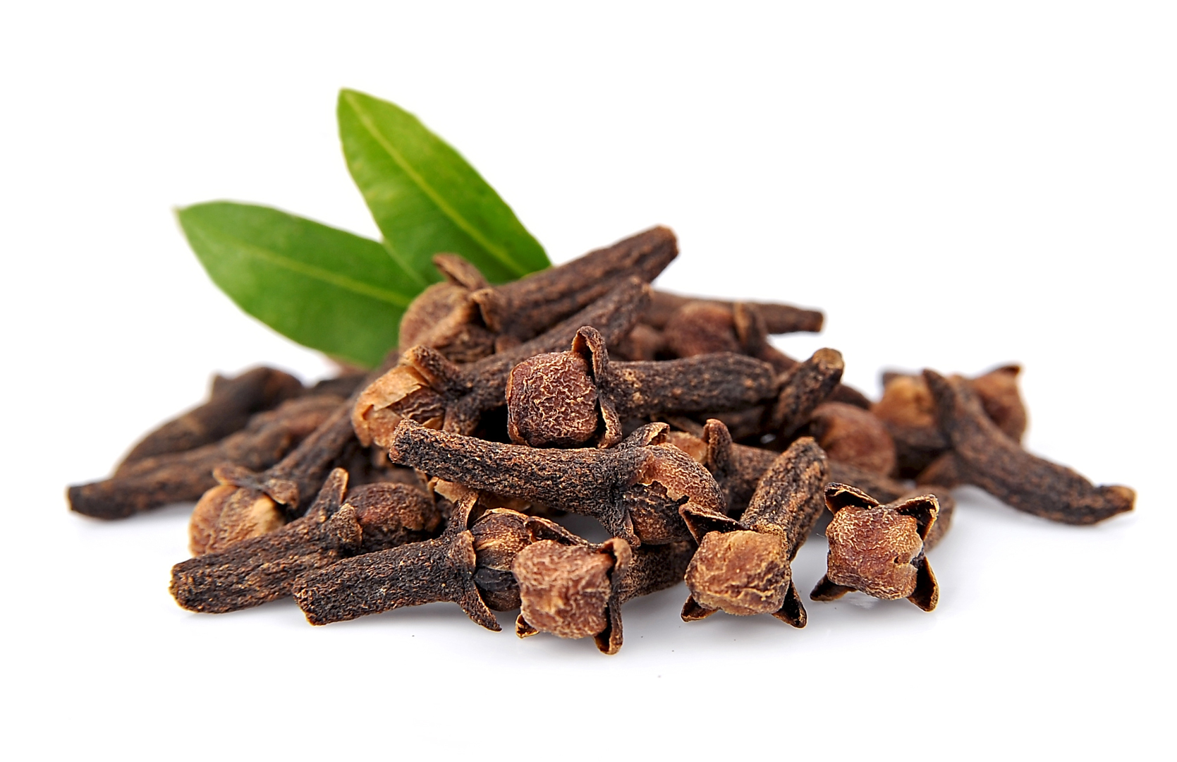 Clove Bud Oil Plant Lipids (P) Ltd. Ingredients Network